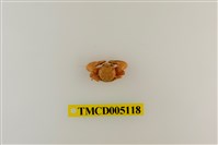 藏品(鋸額豆瓷蟹)的圖片